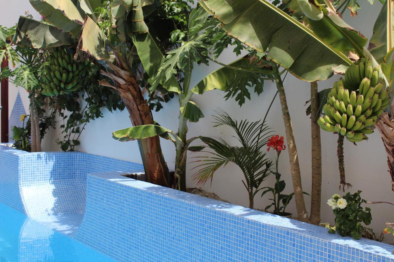 Casa El Olivo, Tenerife Valle de San Lorenzo Bagian luar foto