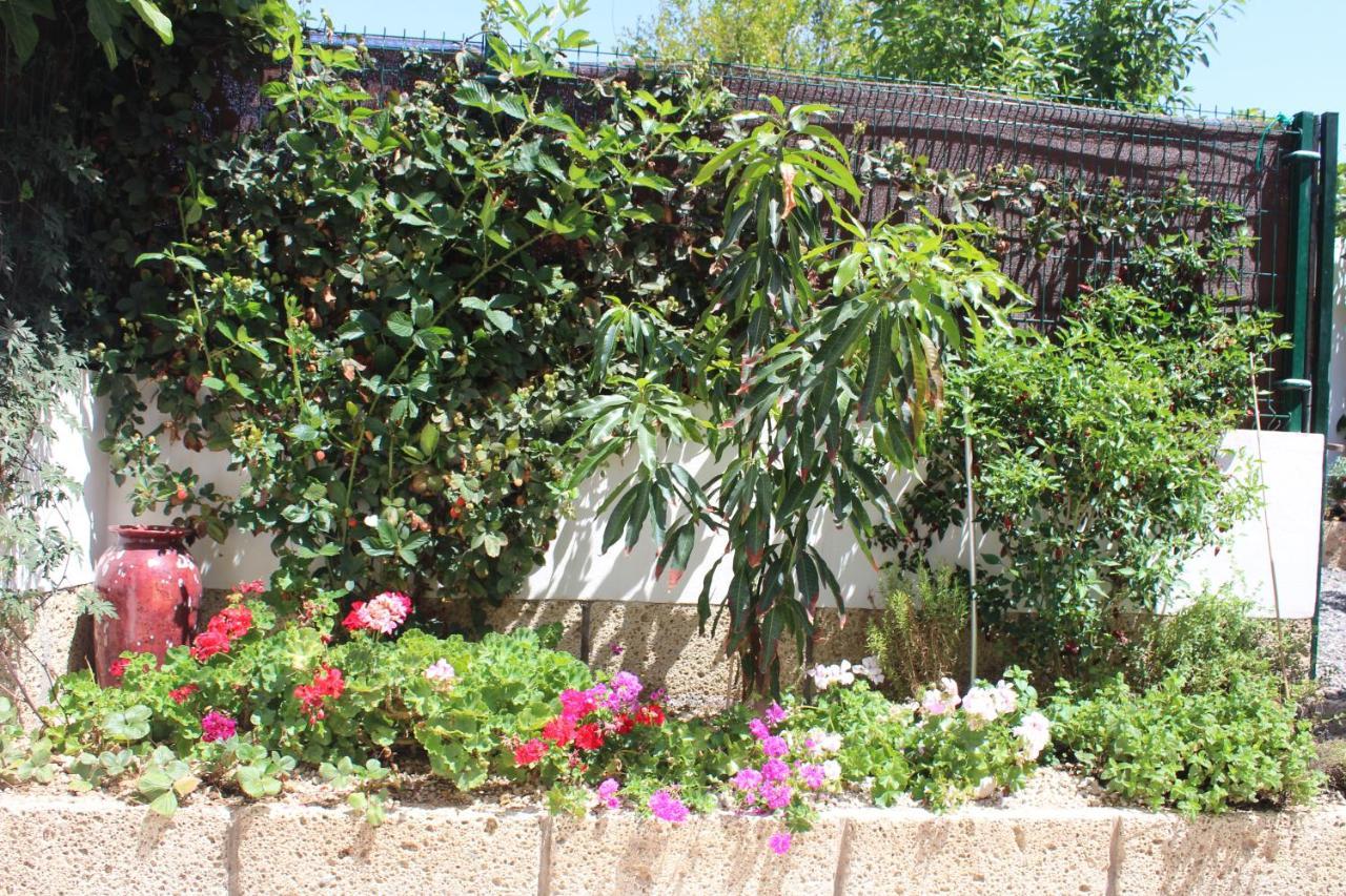 Casa El Olivo, Tenerife Valle de San Lorenzo Bagian luar foto